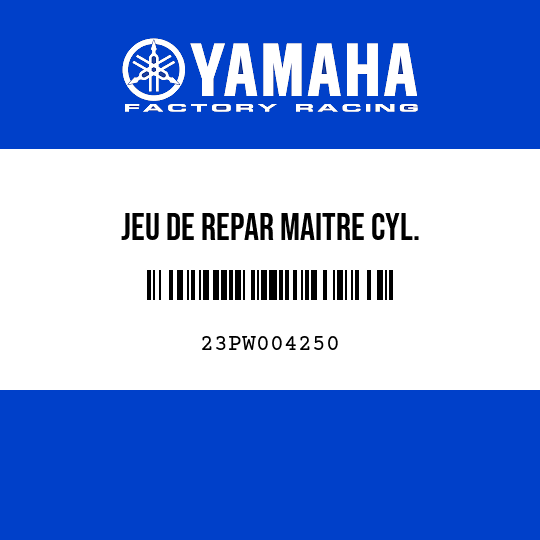 JEU DE REPAR MAITRE CYL.