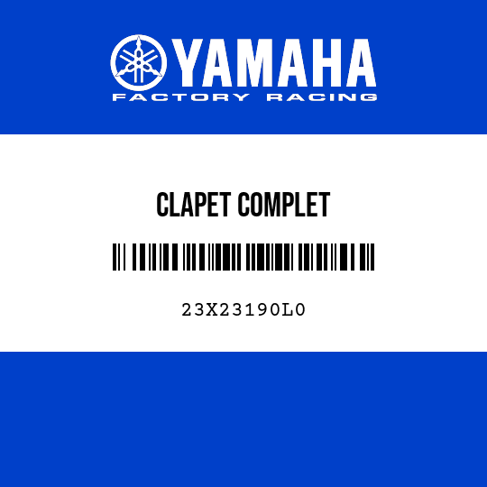 CLAPET COMPLET