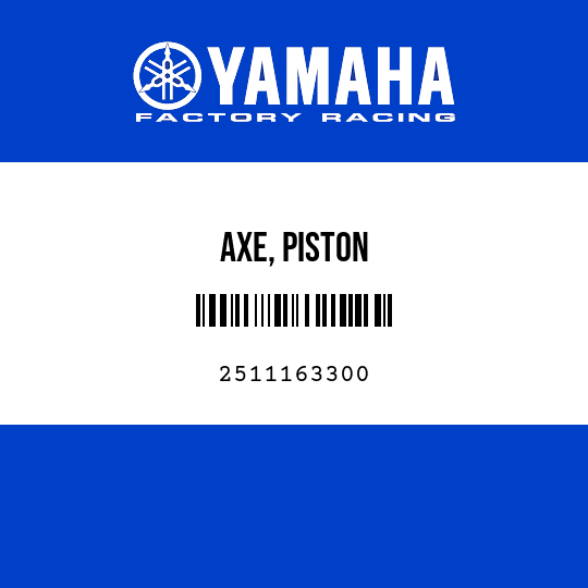 AXE, PISTON