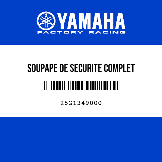 SOUPAPE DE SECURITE COMPLET