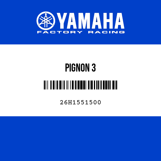 PIGNON 3