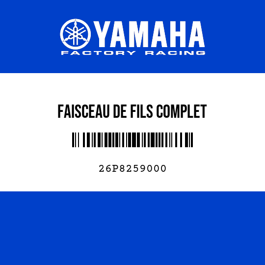 FAISCEAU DE FILS COMPLET