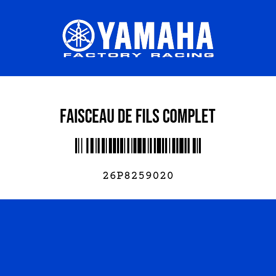 FAISCEAU DE FILS COMPLET