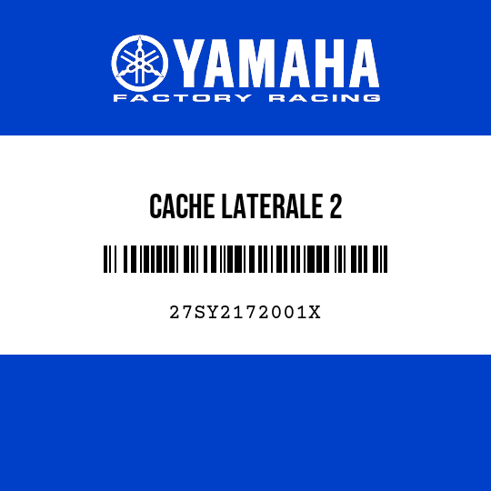 CACHE LATERALE 2