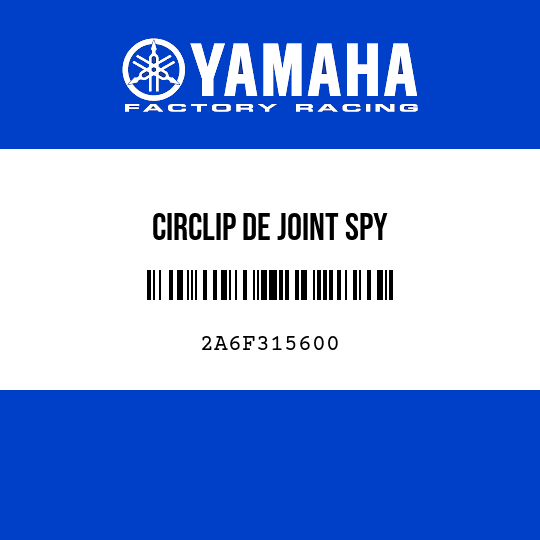 CIRCLIP DE JOINT SPY