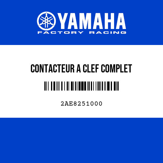 CONTACTEUR A CLEF COMPLET
