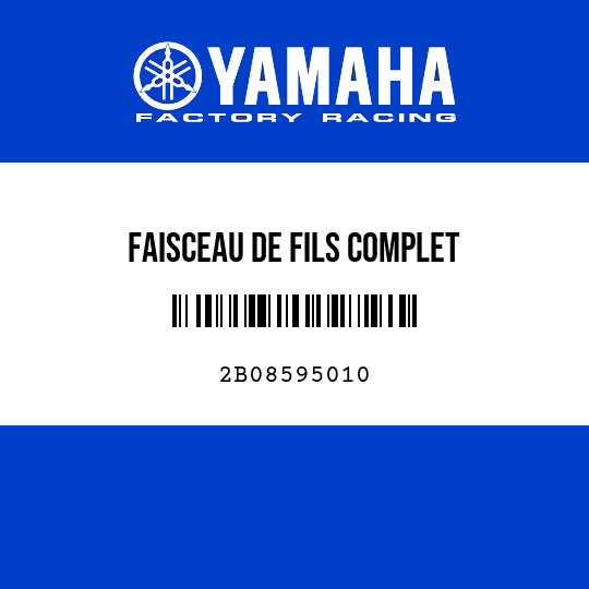 FAISCEAU DE FILS COMPLET