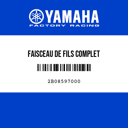 FAISCEAU DE FILS COMPLET