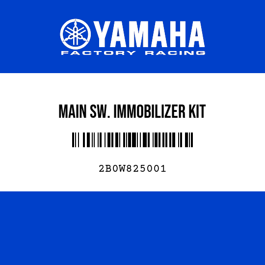 MAIN SW. IMMOBILIZER KIT