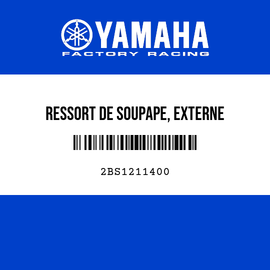 RESSORT DE SOUPAPE, EXTERNE