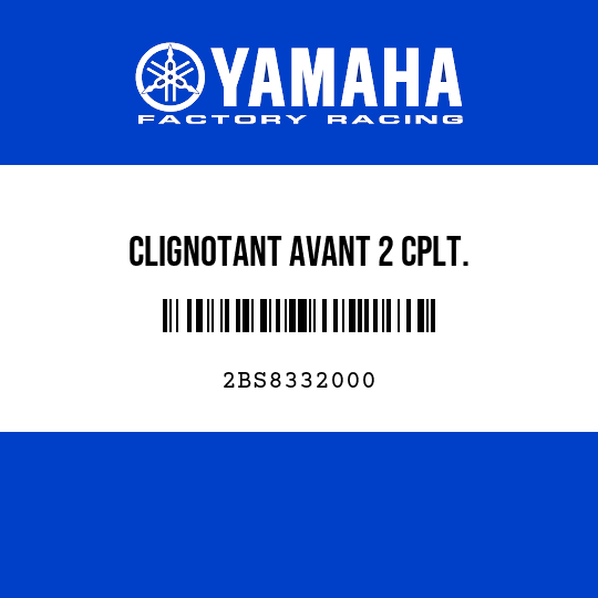 CLIGNOTANT AVANT 2 CPLT.