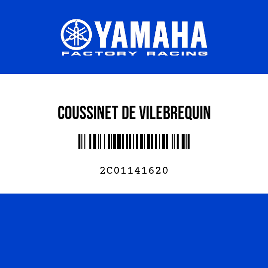 COUSSINET DE VILEBREQUIN