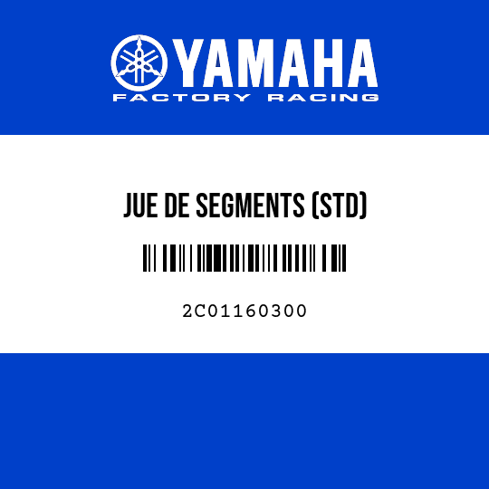 JUE DE SEGMENTS (STD)