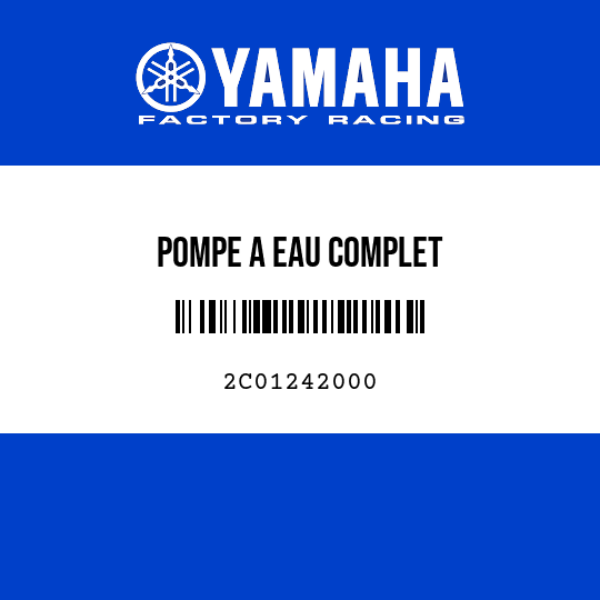 POMPE A EAU COMPLET
