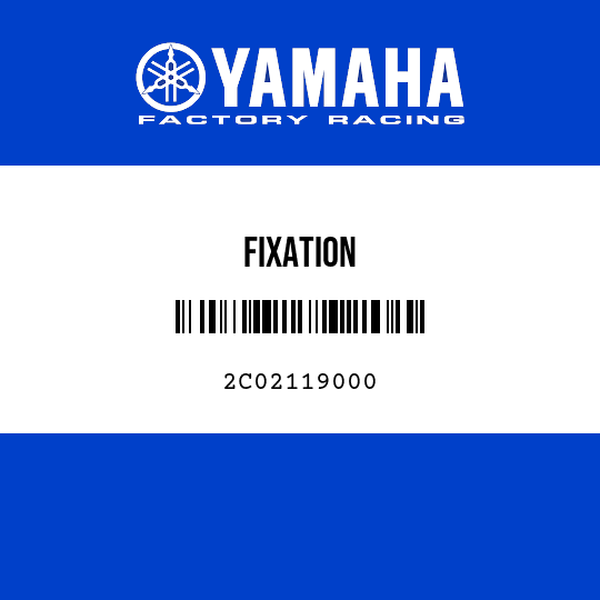 FIXATION