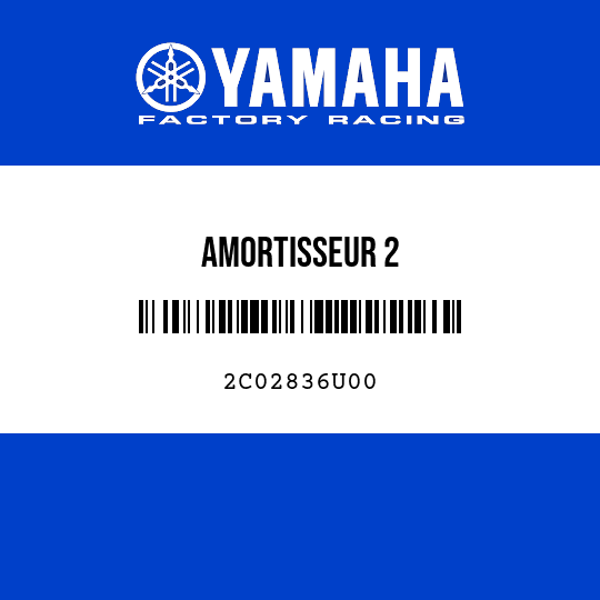 AMORTISSEUR 2