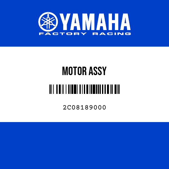 MOTOR ASSY