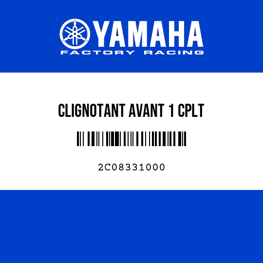 CLIGNOTANT AVANT 1 CPLT