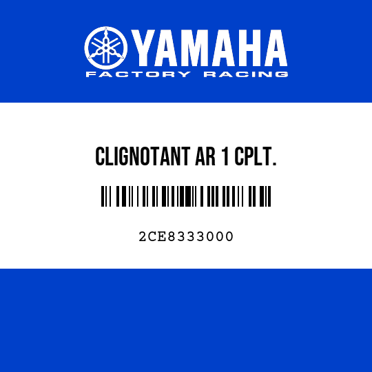 CLIGNOTANT AR 1 CPLT.