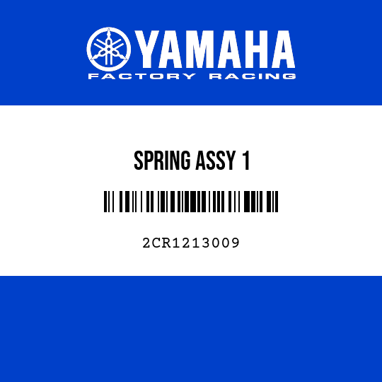 SPRING ASSY 1