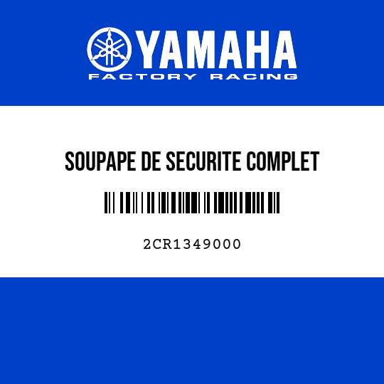 SOUPAPE DE SECURITE COMPLET