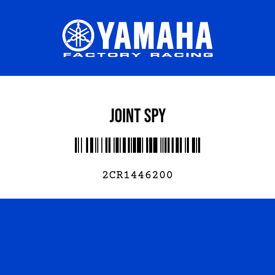 JOINT SPY