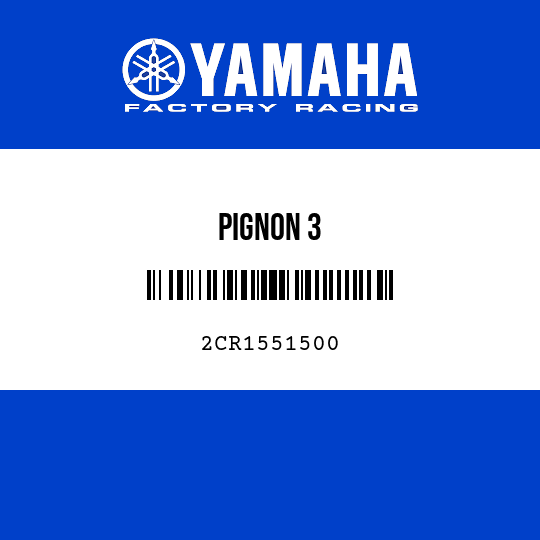 PIGNON 3