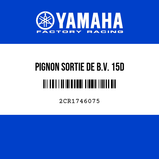 PIGNON SORTIE DE B.V. 15D