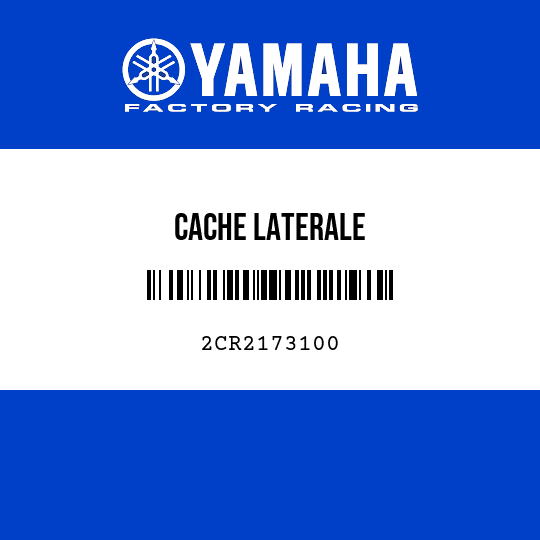 CACHE LATERALE