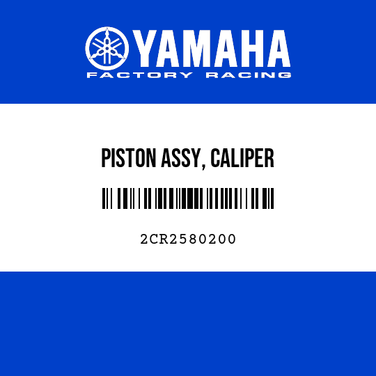 PISTON ASSY, CALIPER