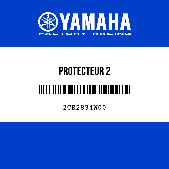 PROTECTEUR 2