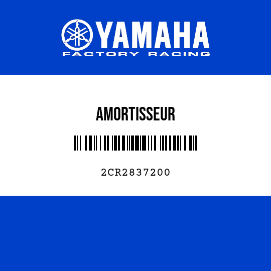 AMORTISSEUR