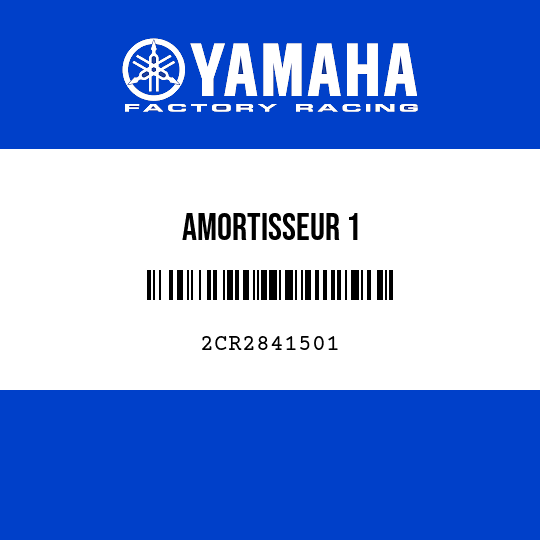 AMORTISSEUR 1