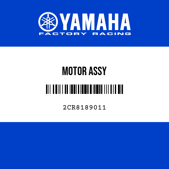 MOTOR ASSY