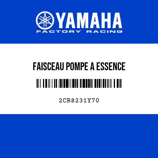 FAISCEAU POMPE A ESSENCE