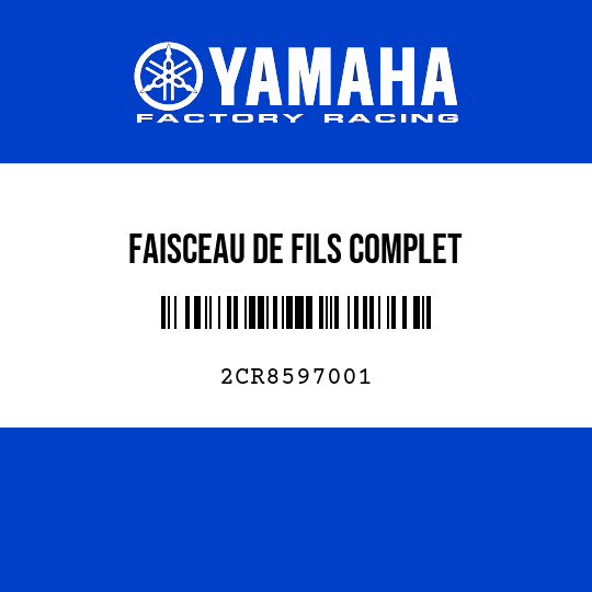 FAISCEAU DE FILS COMPLET