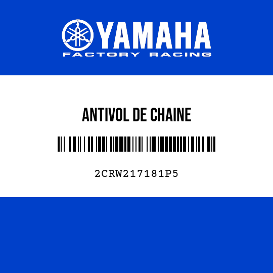 ANTIVOL DE CHAINE