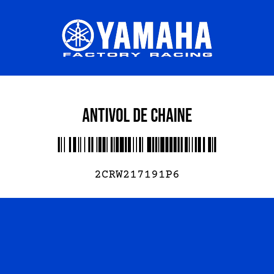 ANTIVOL DE CHAINE