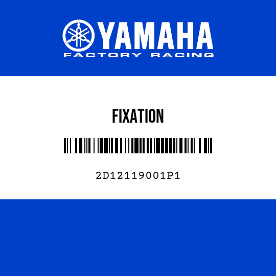 FIXATION