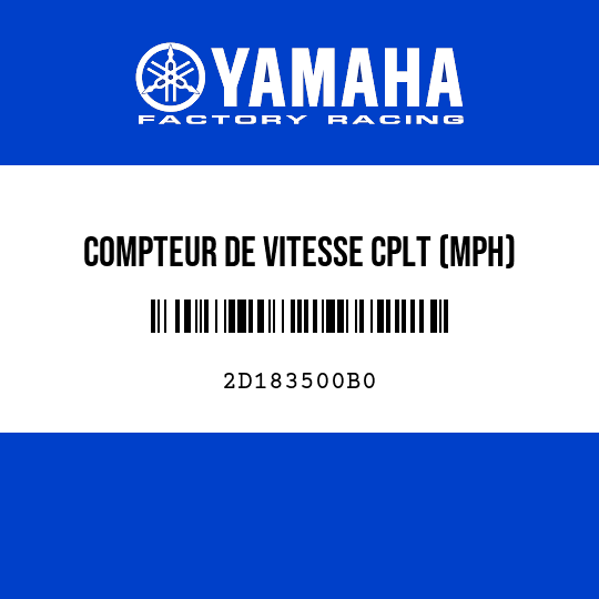 COMPTEUR DE VITESSE CPLT (MPH)