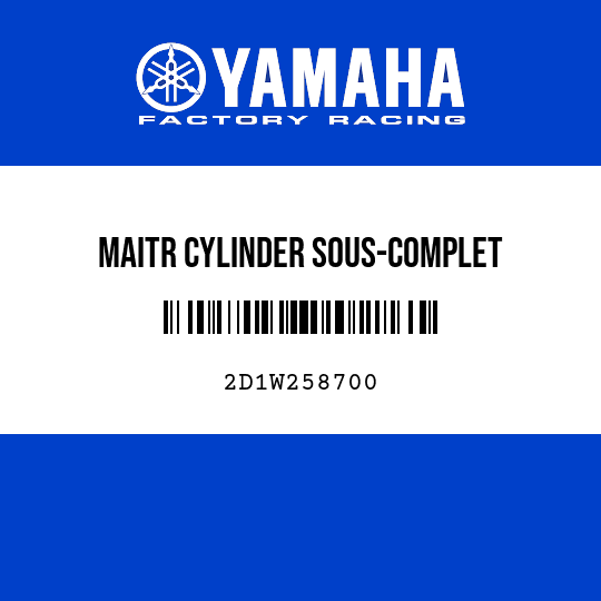 MAITR CYLINDER SOUS-COMPLET