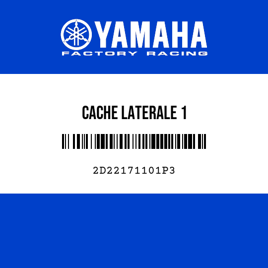 CACHE LATERALE 1