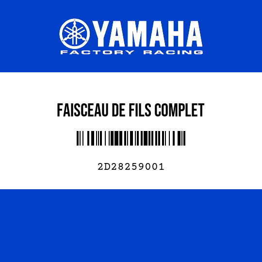 FAISCEAU DE FILS COMPLET