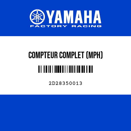 COMPTEUR COMPLET (MPH)