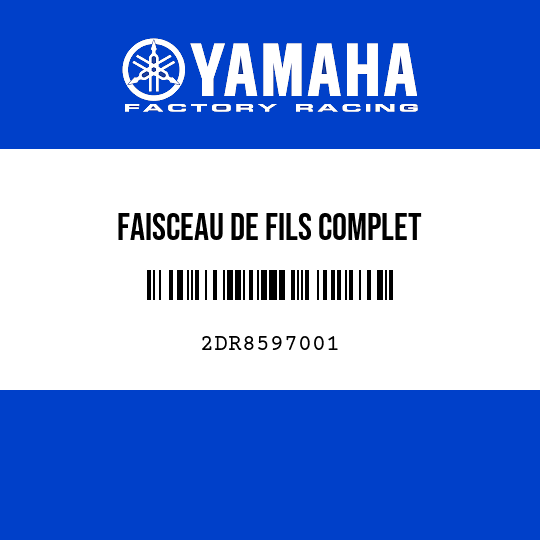 FAISCEAU DE FILS COMPLET