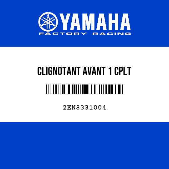 CLIGNOTANT AVANT 1 CPLT