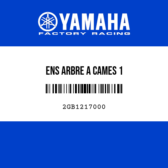 ENS ARBRE A CAMES 1