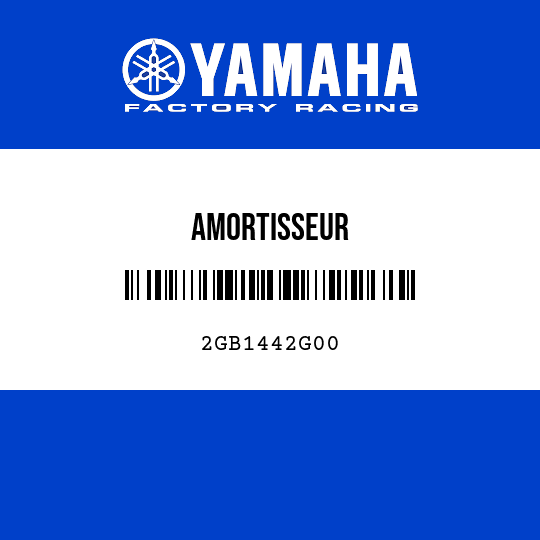 AMORTISSEUR