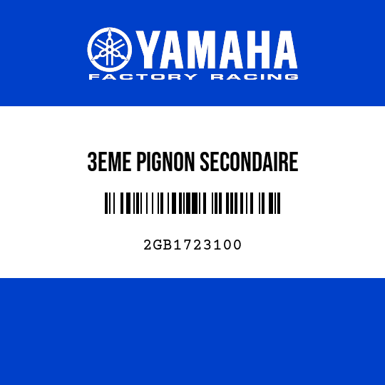 3EME PIGNON SECONDAIRE