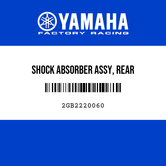 SHOCK ABSORBER ASSY, REAR